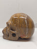 Ocean Jasper Skull Carving - 908g / 2lb