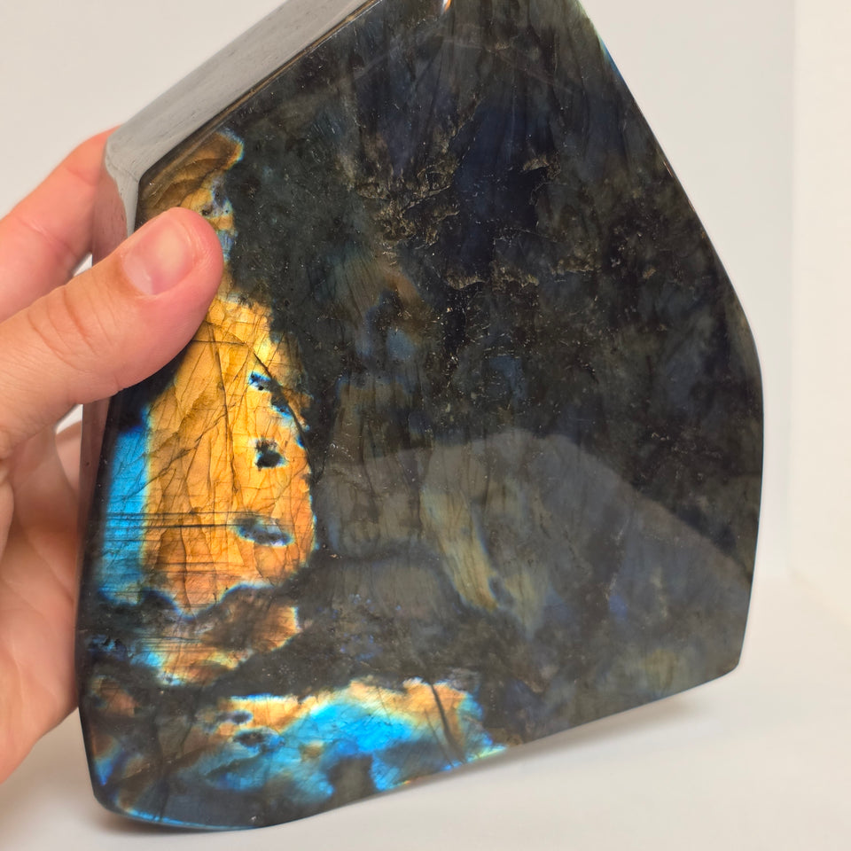 Labradorite Freeform Blue & Gold Flash 9.87 lb