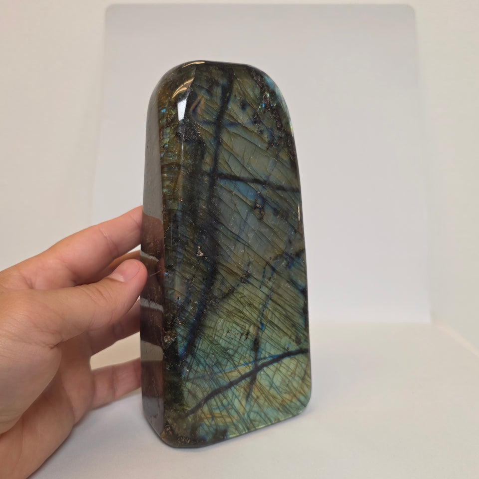 Labradorite Freeform Yellow Flash  4.23 lb