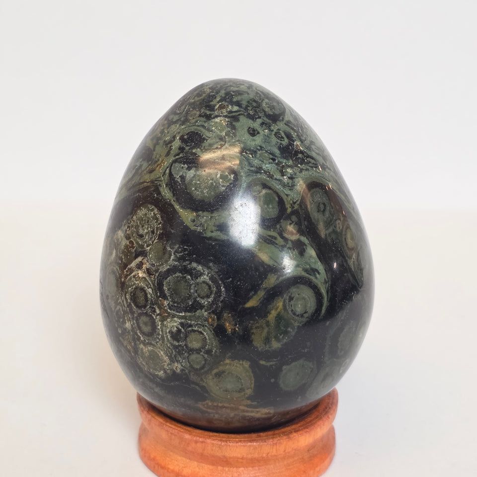 Kambaba Jasper Egg 0.86 lb
