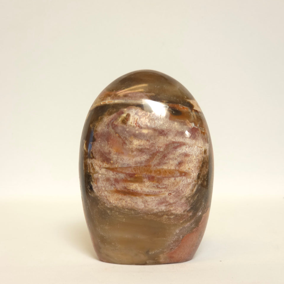 Polished Petrified Wood Freeform | Earth Tones