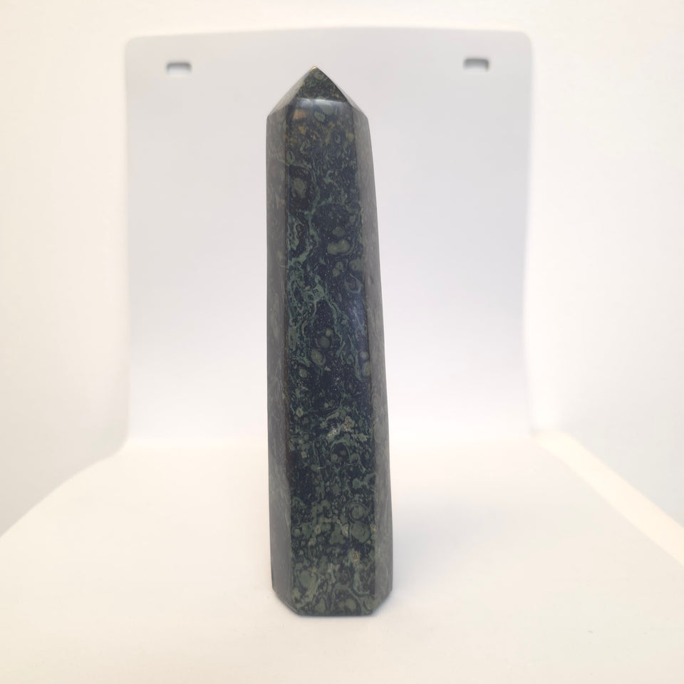 Kambaba Jasper Tower Point | 1.43 lb