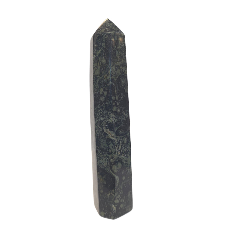 Kambaba Jasper Tower Point | 1.43 lb