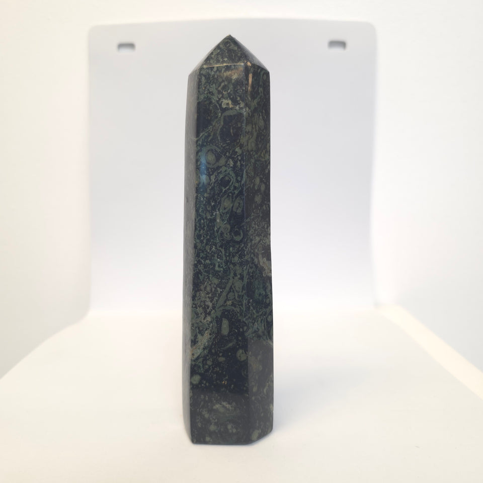 Kambaba Jasper Tower Point | 1.43 lb