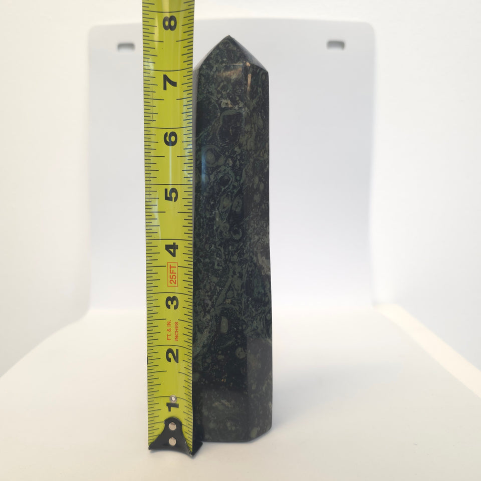 Kambaba Jasper Tower Point | 1.43 lb