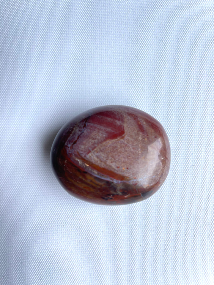 Petrified Wood Palmstone