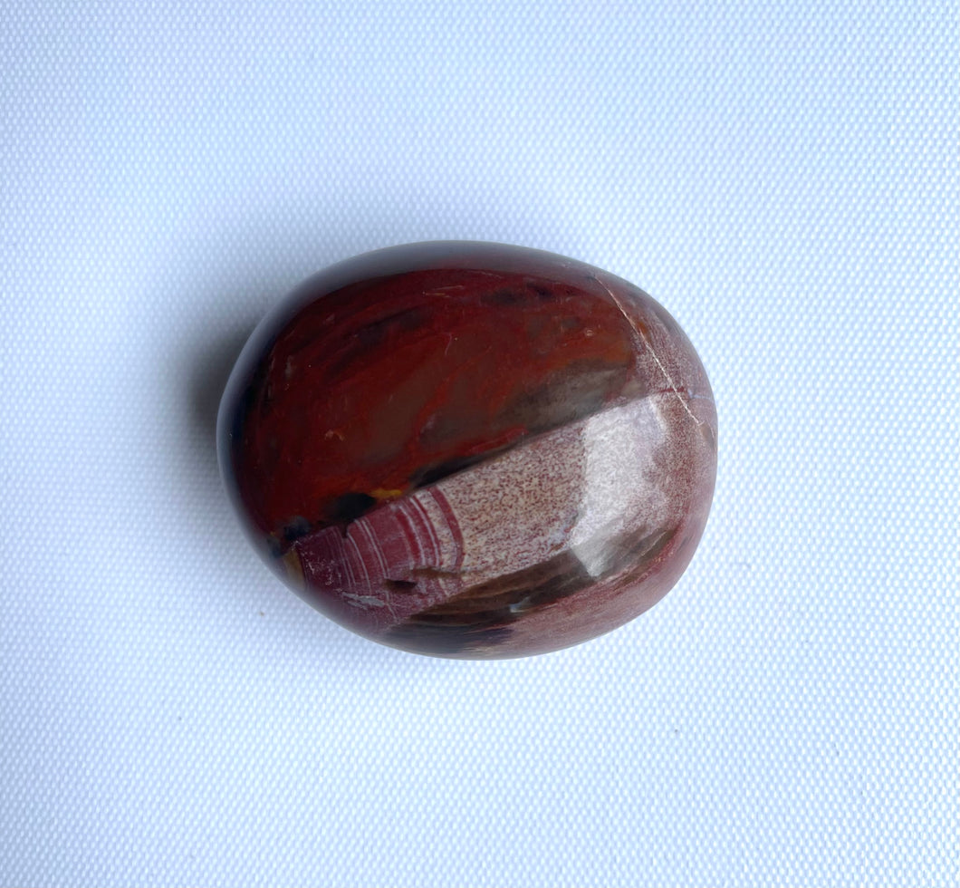 Petrified Wood Palmstone