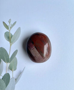 Petrified Wood Palmstone