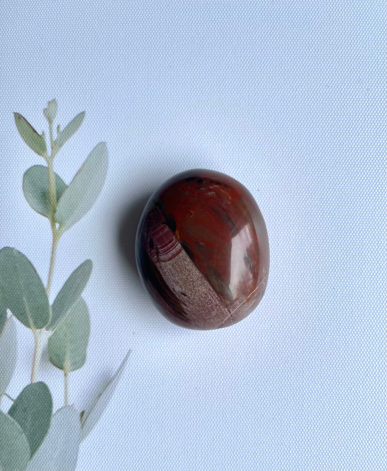 Petrified Wood Palmstone