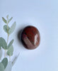 Petrified Wood Palmstone