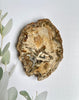 Petrified Wood Coaster - Light