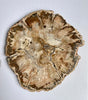 Petrified Wood Round Slice