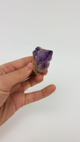 Amethyst Cluster