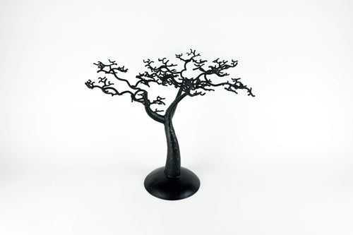 Baobab Tree - Senegalese