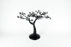Baobab Tree - Senegalese