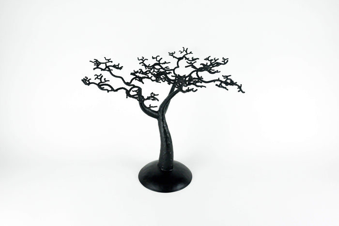 Baobab Tree - Senegalese