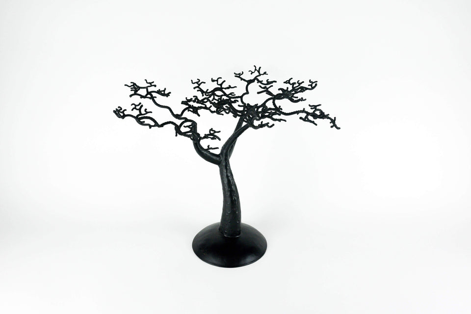 Baobab Tree - Senegalese