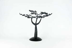 Baobab Tree - Senegalese