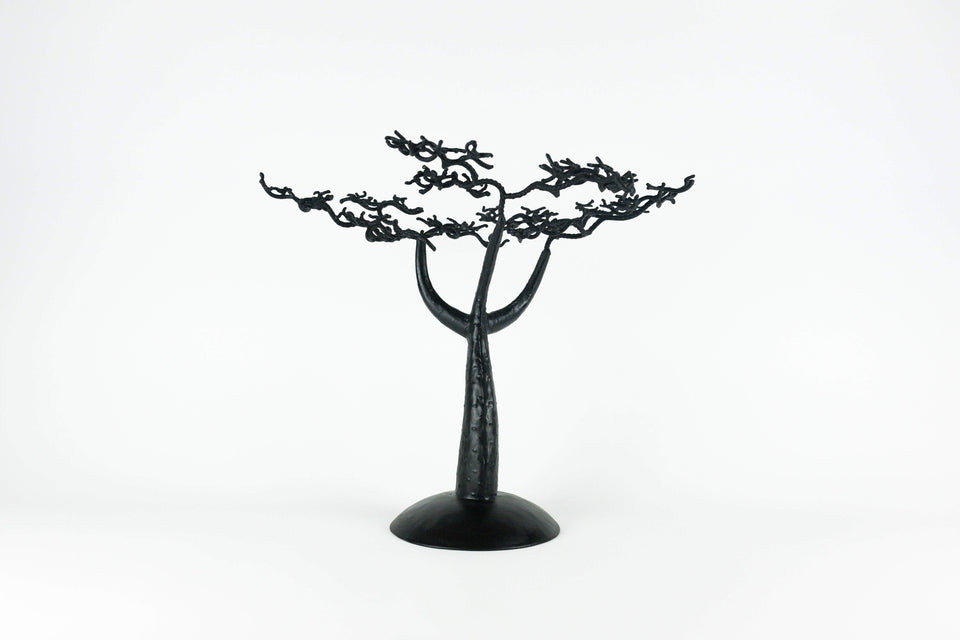 Baobab Tree - Senegalese