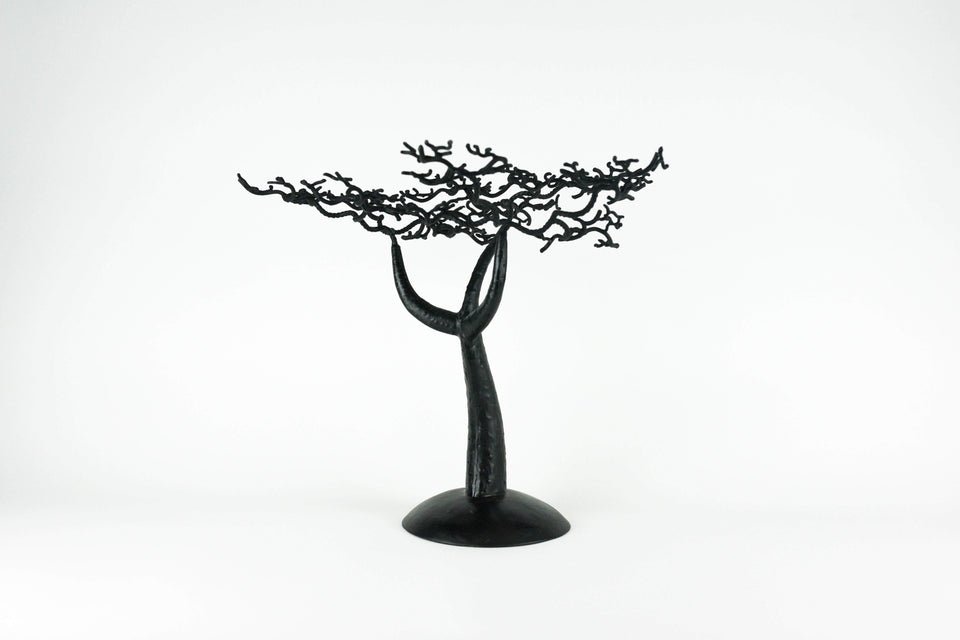 Baobab Tree - Senegalese