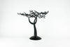 Baobab Tree - Senegalese