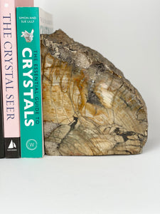 Petrified Wood Book Ends Set