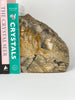Petrified Wood Book Ends Set