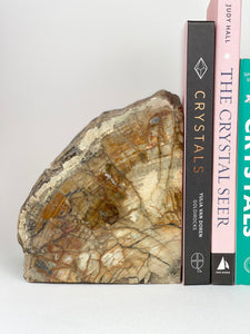 Petrified Wood Book Ends Set
