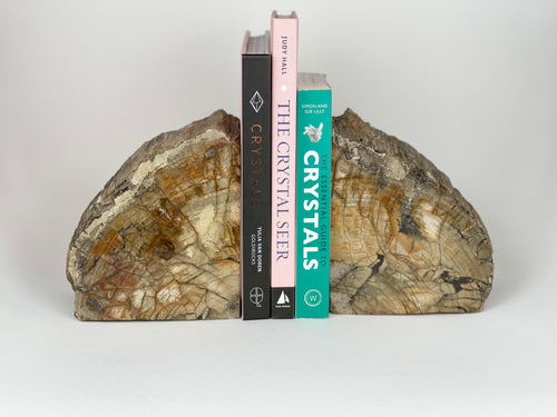 Petrified Wood Book Ends Set