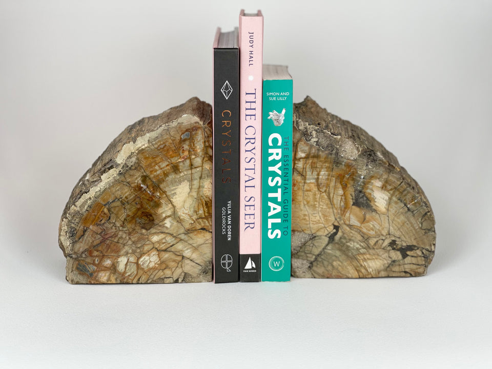 Petrified Wood Book Ends Set