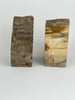 Petrified Wood Book Ends Set