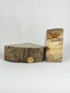 Petrified Wood Book Ends Set