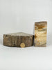 Petrified Wood Book Ends Set