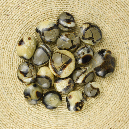 Septarian