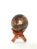 Petrified Wood Sphere - Nature Tones