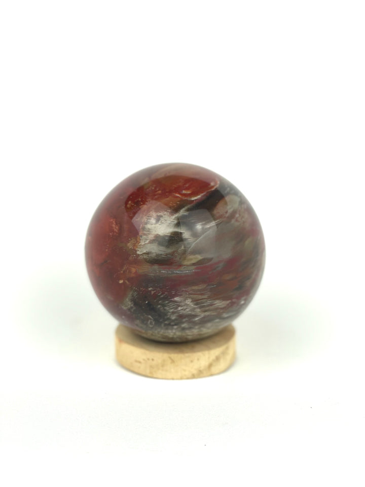 Petrified Wood Sphere - Fire Red