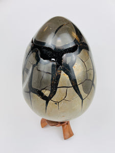 Large Septarian Egg