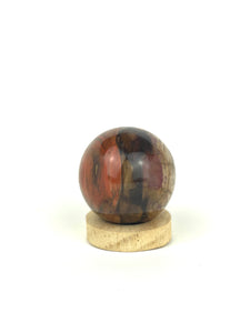 Petrified Wood Sphere - Small