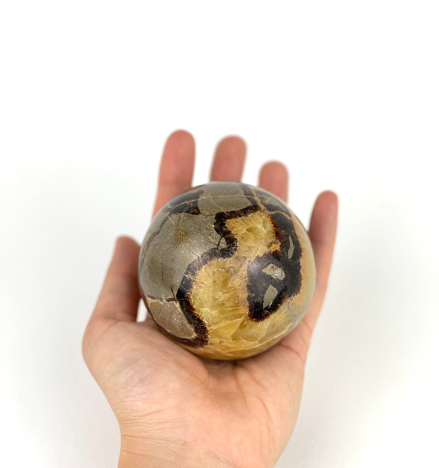 Septarian Sphere