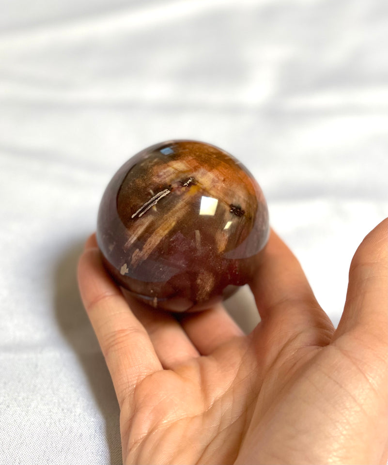 Petrified Wood Sphere