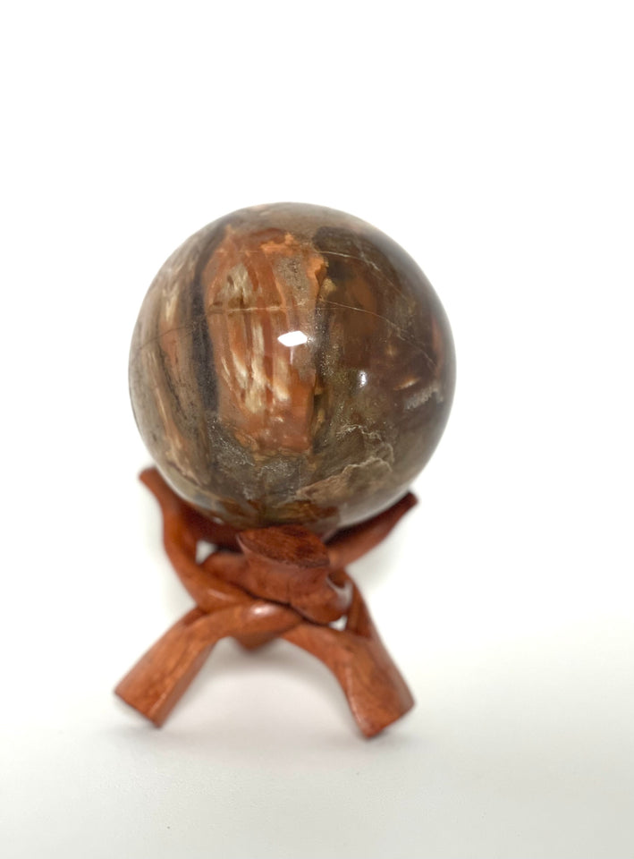 Petrified Wood Sphere - Nature Tones