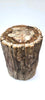 Petrified Wood Trunk