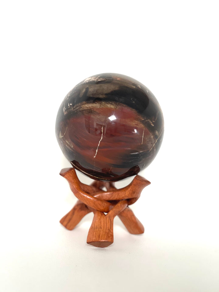 Petrified Wood Sphere - Large Multicoloured