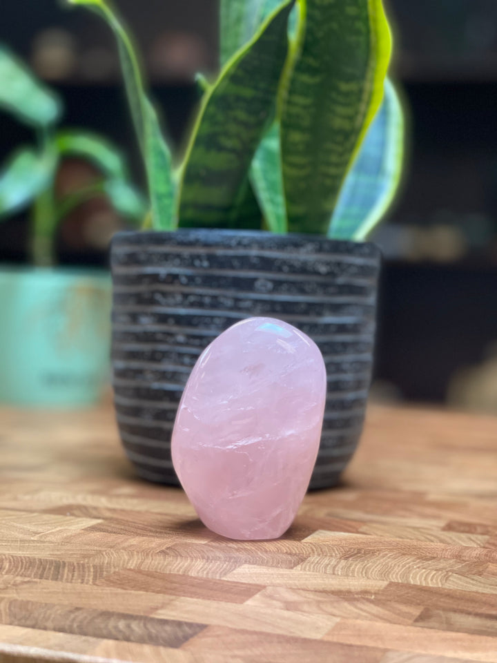 Rose Quartz - Bright + High Quality, Polished, Free Form