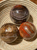 Petrified Wood Sphere - Nature Tones