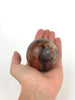 Petrified Wood Sphere - Small