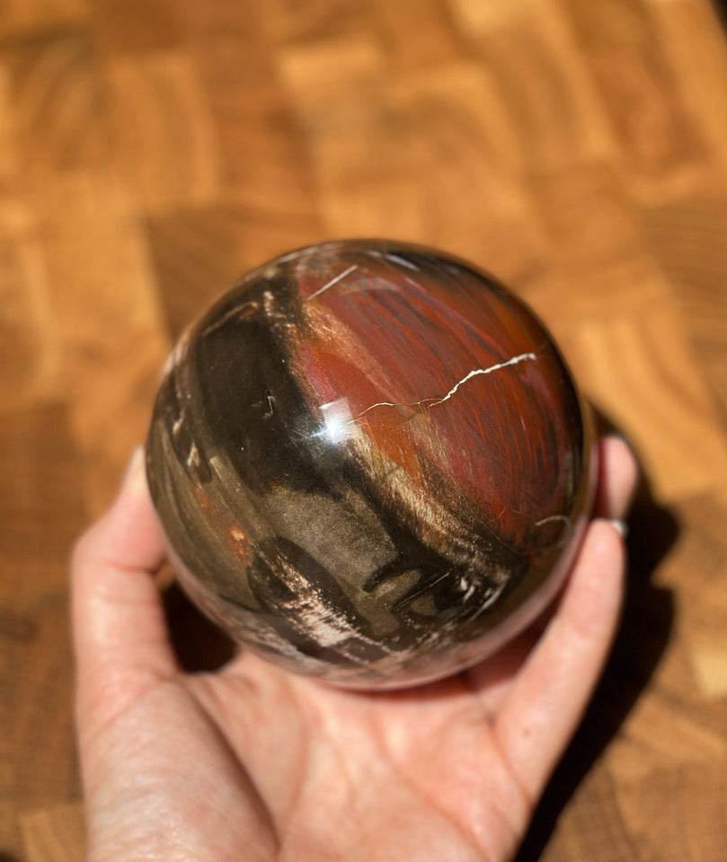 Petrified Wood Sphere - Large Multicoloured