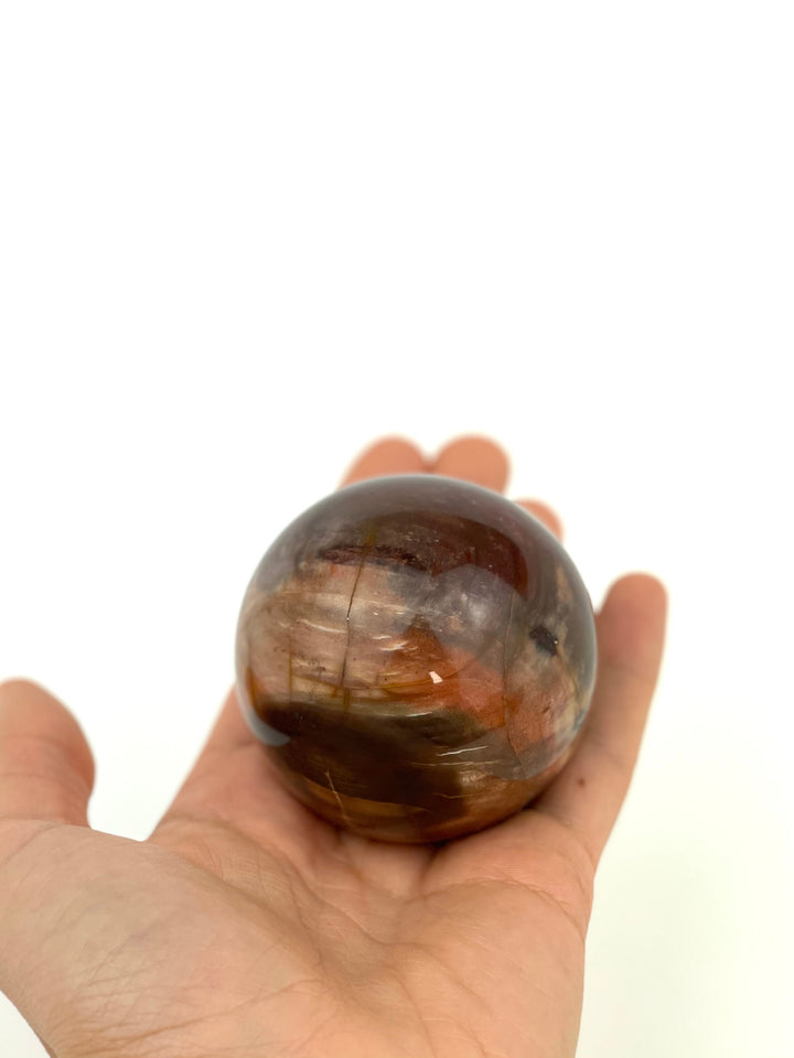 Petrified Wood Sphere