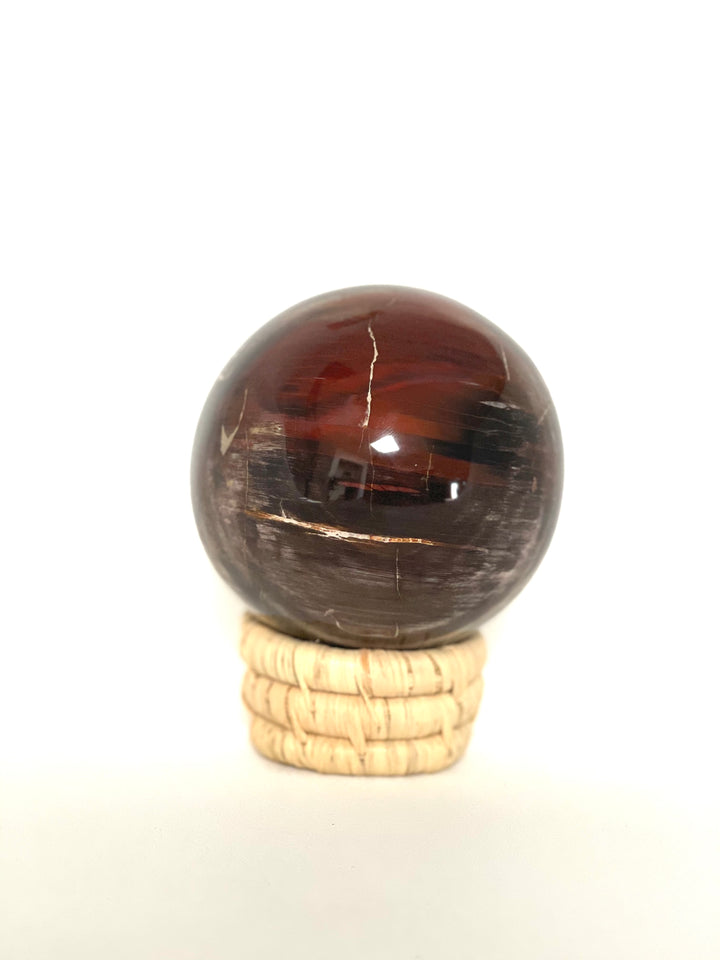 Petrified Wood Sphere - Large Multicoloured