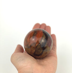 Petrified Wood Sphere - Small